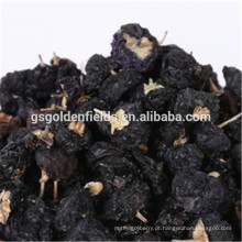 Bagas pretas do goji / wolfberry preto / Lycium ruthenicum murr fruta doce das montanhas